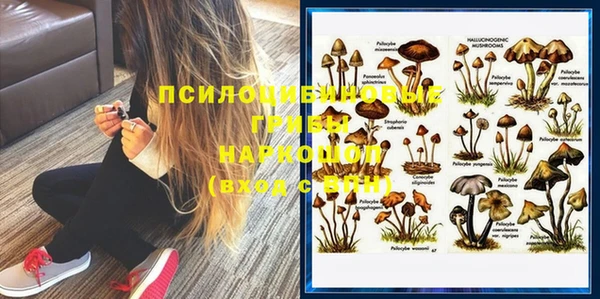 крисы Белокуриха