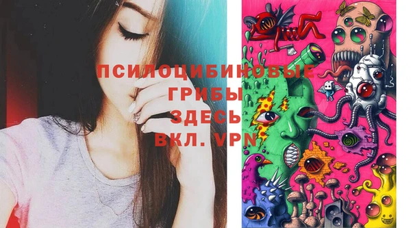 спиды Беломорск
