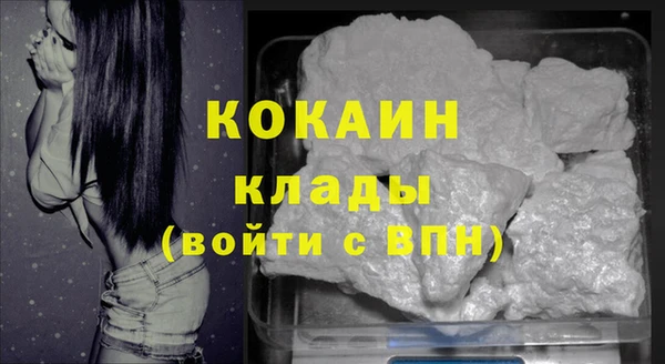 крисы Белокуриха