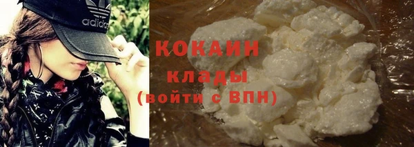 крисы Белокуриха