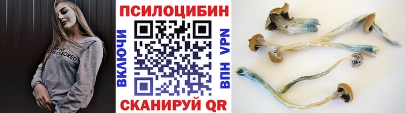 Галлюциногенные грибы ЛСД  гидра ССЫЛКА  Шахты 